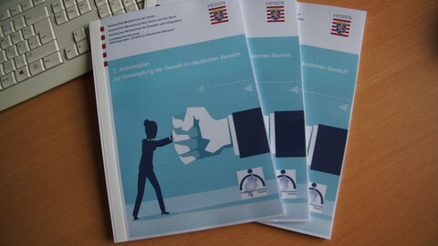 3. Aktionsplan zur Bekämpfung von Gewalt im häuslichen Bereich 3. Aktionsplan zur Bekämpfung von Gewalt im häuslichen Bereich